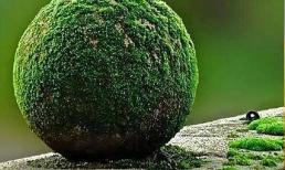 Bốn dấu hiệu chính của một người 'sắp xảy ra tai hoạ', chiếm hơn hai, người ta chạy đi, hãy nhanh chóng và thay đổi 