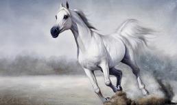 Ai khổ mặc kệ, 3 tuổi này gặt hái tài lộc, giàu sang phú quý hơn người trong tháng 7 âm lịch