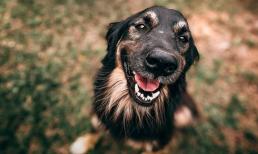 Top 3 con giáp đầu năm lận đận, cuối năm 2022 đổi vận vượt trội, cực kỳ giàu có