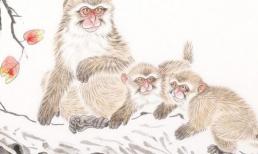 7 tuần nữa vận xui sẽ tan biến, 4 con giáp bước lên tầm cao mới, cuộc sống giàu có sung túc