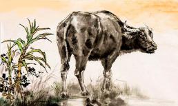 Những người thuộc con giáp này tính cách chu đáo, sâu sắc và càng về già càng kiếm được nhiều tiền