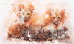 Ai khổ mặc kệ, 3 tuổi này được quý nhân nâng bước, may mắn thành công hơn người đúng ngày 1/7 âm lịch