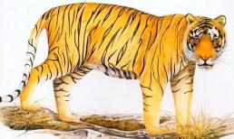 Chỉ cần trong nhà có một người thuộc con giáp này thì gia đình sẽ ngày càng sung túc, kiếm bộn tiền hàng năm