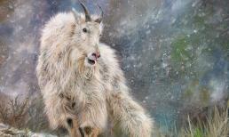 Cuối tuần này (23/7 - 24/7): top 3 con giáp cận kề phú quý, quý nhân nâng đỡ, tài lộc vượng phát, sự nghiệp ngày càng rực rỡ