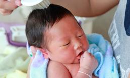 4 thực phẩm bà bầu nên ăn nếu muốn con mình sinh ra có một mái tóc dày dài bóng đẹp