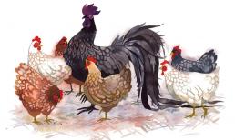 Từ tháng 7 âm lịch tới hết năm 2022: 3 con giáp được Thần Tài gọi tên, giàu sang phú quý hơn người 