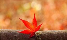 Cả đời này, hãy chịu trách nhiệm với hai loại người, trân trọng hai loại người và tránh xa hai loại người