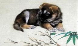 Tuần mới (1/8 - 7/8), 3 con giáp gặp đủ xui xẻo, tiểu nhân rình rập, họa thị phi đeo bám, tài lộc thăng trầm bất ổn