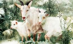 3 con giáp có kỹ năng giao tiếp cao và thái độ lạc quan, có thể kết thân với bất kỳ ai