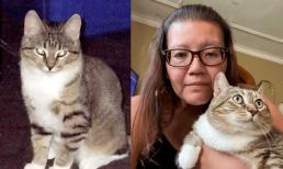 Chú mèo lưu lạc 9 năm mới được tìm lại, sau khi đoàn tụ, người chủ sững sờ: 'Con lợn nhỏ này ở đâu ra vậy?'