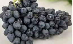 Cũng có thể ăn thêm ba loại thực phẩm để giải độc và làm sạch đường ruột, và càng ăn nhiều, bạn càng gầy và lợi ích rất nhiều!