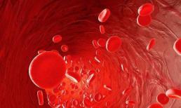 Sau khi một người chết, “máu” trong cơ thể sẽ đi đâu? Câu trả lời làm lạnh sống lưng