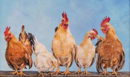 Qua Rằm tháng 7 âm lịch: 3 con giáp vận may tăng vọt, tài lộc lên hương, làm gì cũng thuận