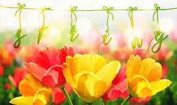 Giữa tháng 8, 4 con giáp có điềm lành về tài lộc, càng về cuối năm càng giàu