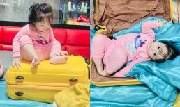 Bé Tina bám bố, nằm lì trong vali không cho Lâm Chấn Khang đi làm đến độ bà xã anh còn phải ghen tỵ