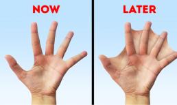 Con người sẽ tiến hóa thế nào trong tương lai? Tay có màng, phụ nữ sẽ trẻ mãi không già?