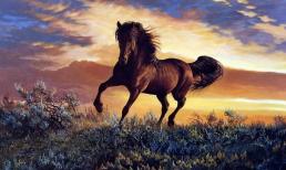 Tuần mới (15/8-21/8): 3 con giáp vướng phải xui xẻo, tài lộc ảm đạm, làm gì cũng gặp khó khăn