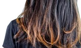 6 cách để bảo vệ tóc khỏi tác hại của nhiệt, tránh xơ rối, chẻ ngọn theo lời khuyên từ chuyên gia