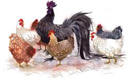 Chỉ cần nỗ lực hết mình, 3 tuổi này tài lộc rực rỡ, cuộc sống thăng hoa viên mãn trong tháng 8 âm lịch