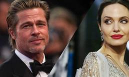 Brad Pitt và loạt sao ngôi sao nổi tiếng bị tố bạo lực gia đình