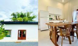 Mẫu nhà cấp bốn với chi phí xây dựng chỉ 500 triệu nhưng không gian 'nên thơ' như một quán cà phê nhỏ xinh 