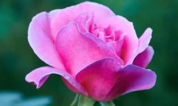 Sinh con vào ba giờ này gia đình sung túc, giàu có nhất đời, tiền của để dành không thiếu 