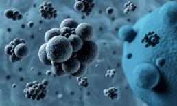 Virus mới xuất hiện, mụn nước trên người có thể to bằng quả cà chua 