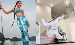 Hoa hậu Phạm Hương thực hiện 'tư thế vua' trong yoga, lộ bí quyết để ngoại hình tươi trẻ sau hai lần sinh nở 