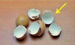 Đừng vội vứt bỏ vỏ trứng, những tác dụng 'kỳ diệu' này có thể giúp ích rất nhiều, tiết kiệm chi phí và dễ sử dụng, cùng xem nhé!