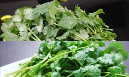 Rau mùi và thứ này là “kẻ thù không đội trời chung”, không thể ăn cùng nhau, biết ngay bây giờ cũng chưa muộn!