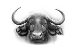 Chia buồn với 3 con giáp xui xẻo tuần mới (29/8-4/9), vận trình ảm đạm, tài lộc kém phát triển