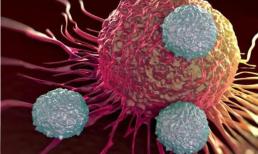 6 loại thực phẩm ưa thích của tế bào ung thư được ăn mỗi ngày!