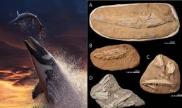 Thằn lằn biển dài 9 mét thống trị đại dương 66 triệu năm trước, với hộp sọ khổng lồ và hàm răng sắc nhọn 