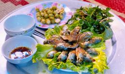 Chàng trai độc thân khoe loạt mâm cơm tự nấu, dân mạng tấm tắc: 'Sau này vợ chỉ ngồi hưởng'