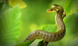 Hung tinh chiếu mạng, 3 con giáp gặp nhiều xui xẻo, tiền của dễ 'không cánh mà bay' trong tháng 9