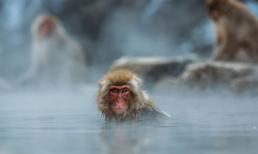 Nhận lộc trời ban, 3 con giáp tài vận bùng nổ, tiền tài thăng hoa rực rỡ dịp Trung Thu 2022