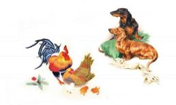 Tử vi 12 con giáp thứ 7 ngày 3/9/2022: Tuổi Dậu dễ thu tiền bạc về tay, Tuất bị tiểu nhân ám toán