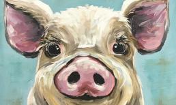 Cuối tuần này (3/9 - 4/9) top 3 con giáp phất như diều gặp gió, gánh lộc về nhà, tin vui đến tới tấp