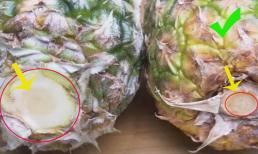 Dứa có ngọt hay không, bạn có thể nhìn lướt qua ở đây, phương pháp này của người nông dân trồng trái cây thực sự rất hiệu quả