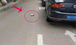 Dù có tiền hay không, ra đường cũng không nhặt được 4 thứ này, đừng coi thường mà hãy nói cho gia đình bạn biết