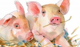 Xui xẻo bủa vây, hung tinh rình rập, 3 con giáp làm gì cũng phải cẩn trọng trong tuần này (5/9-11/9)