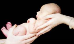 Nghiên cứu của Harvard chứng minh rằng những đứa trẻ sinh vào hai mùa này sẽ có lợi thế tuyệt đối về chỉ số IQ