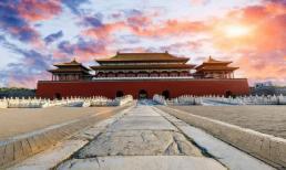 Trong Tử Cấm Thành không có cây, có thể bạn không để ý, đọc xong sẽ biết lý do