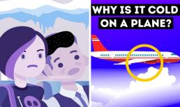 Vì sao nhiệt độ trên máy bay lúc nào cũng lạnh cóng, hành khách 'rét run' nhưng phi hành đoàn lại thích? Hoá ra là để bảo vệ tính mạng hành khách