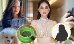 Nữ diễn viên Thái Lan - Kwan Usamanee bị người giúp việc cũ tố bắt ăn chung đĩa với chó cưng