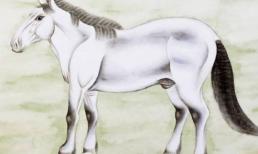 Từ ngày 12/9 đến hết 30 tháng 9, ba con giáp ngày làm ăn phát tài, Thần Tài phù hộ, tiền bạc rủng rỉnh, hốt bạc chất đống