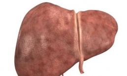 Danh sách đen thực phẩm có hại cho gan: Những thực phẩm này đều có trong danh sách có thể bạn vẫn ăn mọi lúc