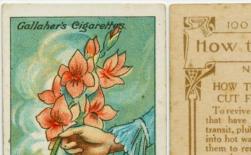 Những thủ thuật đã được phát minh ra trong thời cổ đại, nhưng vẫn vô cùng hữu dụng cho đến ngày nay