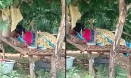 Đang nằm ngủ, người phụ nữ bị rắn hổ mang trườn lên người