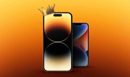 Nhà phân tích của Apple: iPhone 14 Pro Max vẫn thống trị số lượng đơn đặt hàng, iPhone 14 Plus gây thất vọng